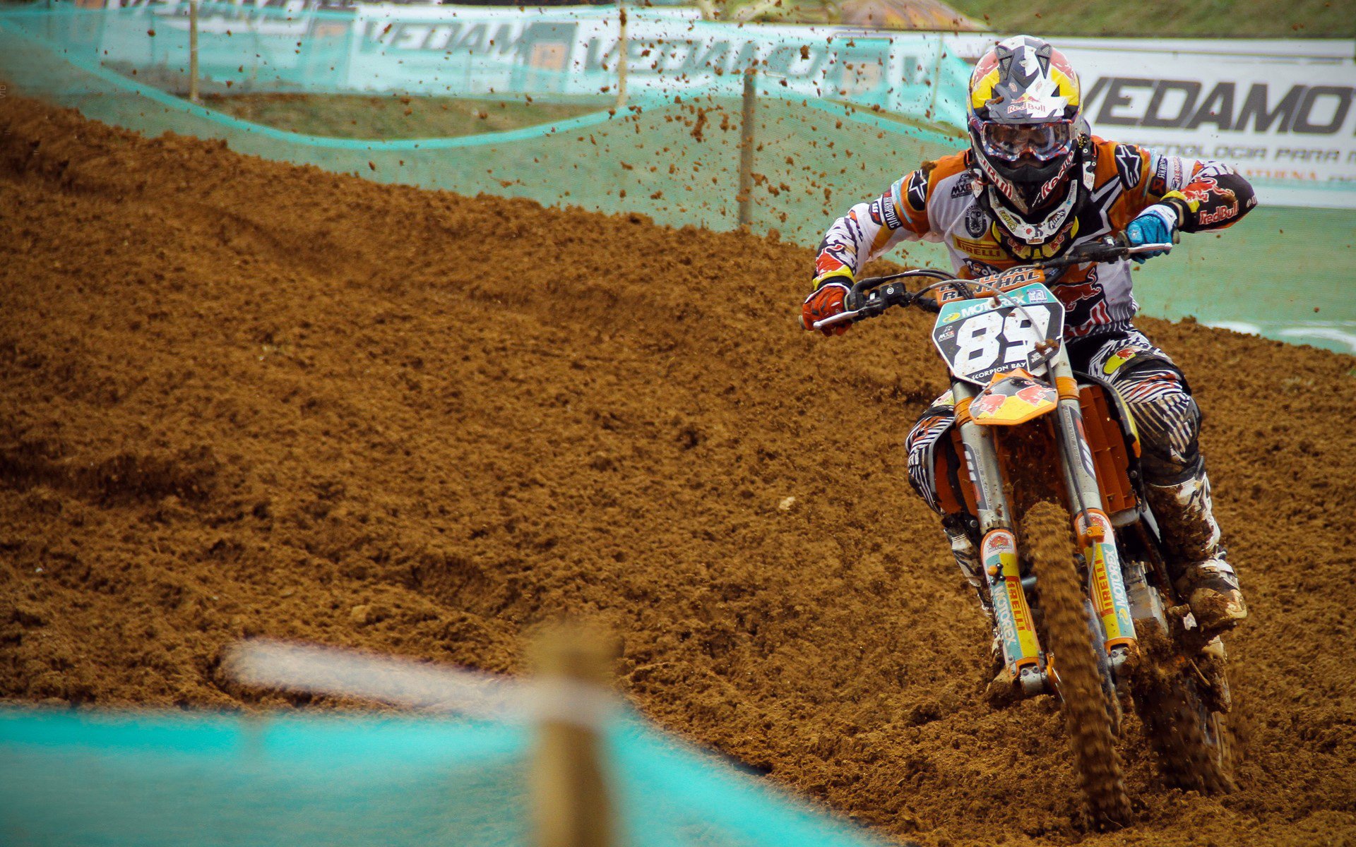 2026世界杯官方旅游路线揭晓，场馆巡游成为新体验，2026世界杯场地