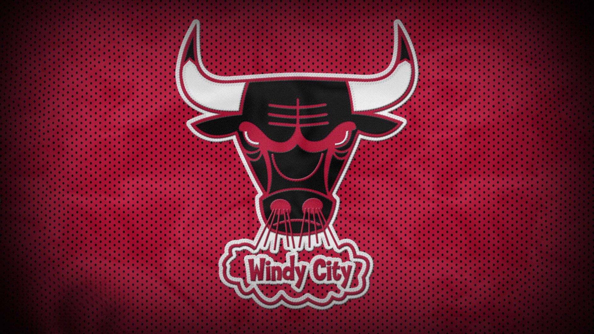 “美洲狮队奋勇拼搏,征战橄榄球冠军锦标赛”