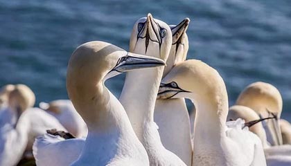 开云体育在线入口-_未来竞速场馆：科技打造的体感盛宴_，未来竞技场工资