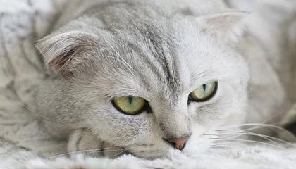 开云体育网站入口-_动感单车赛：城市健身新风尚_，动感单车挑战赛规则