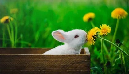 开云体育在线入口-_未来竞速场馆：科技打造的体感盛宴_，未来竞技场工资